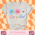 LIFE IS GOOD - A2
