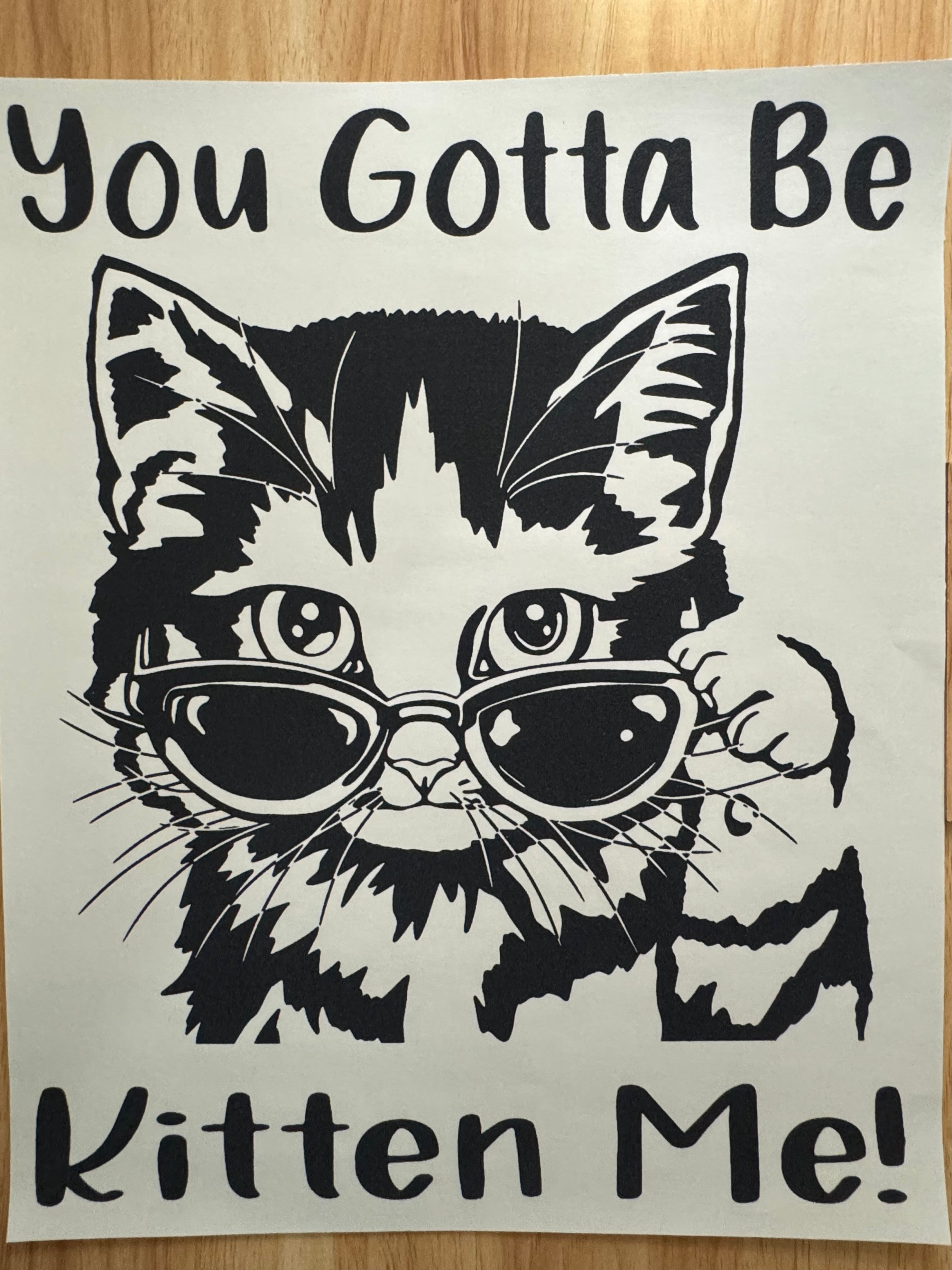YOU GOTTA BE KITTEN ME B2