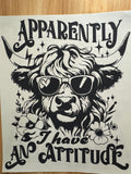 APPARENTLY, I HAVE AN ATTITUDE B2