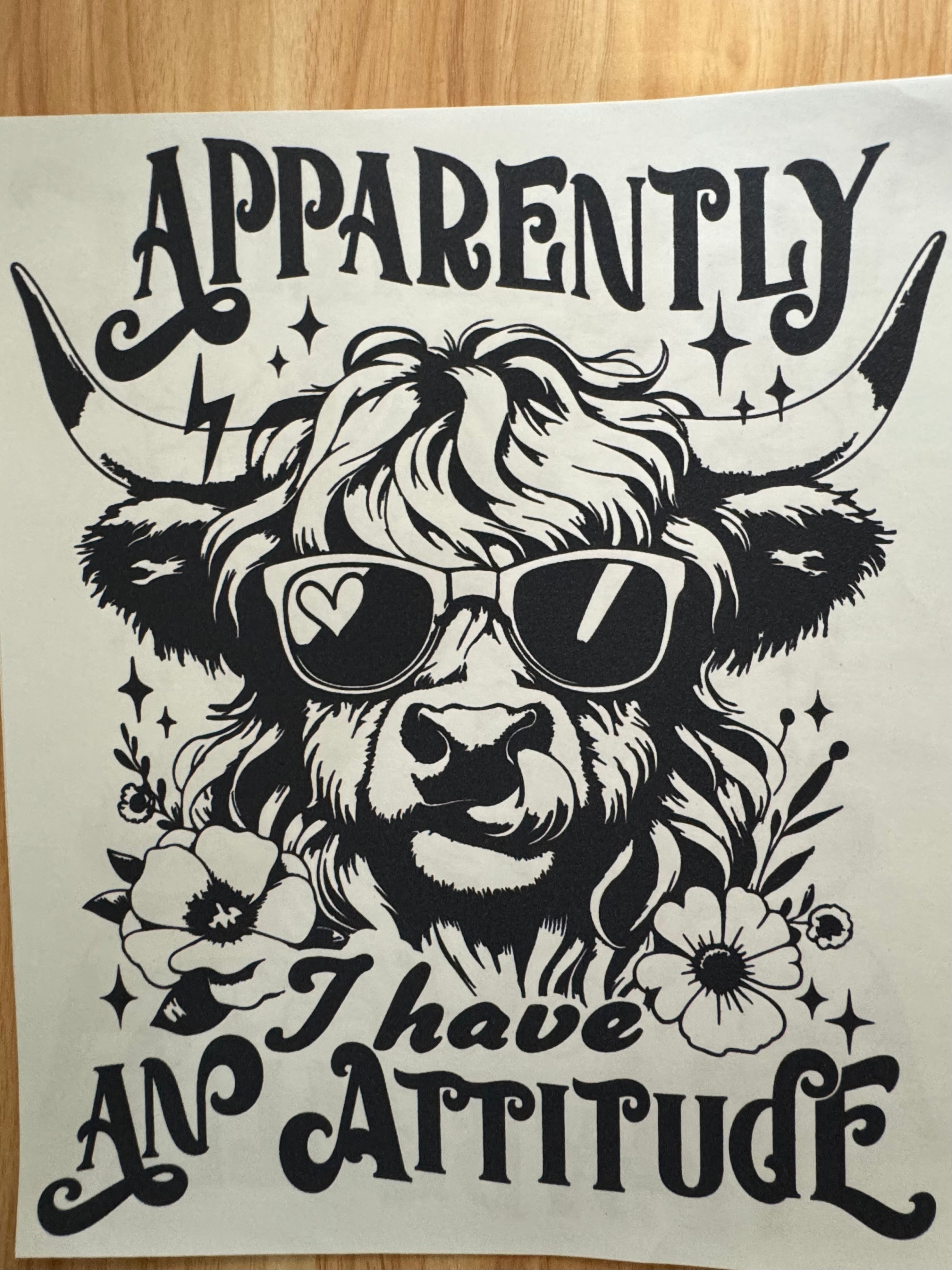 APPARENTLY, I HAVE AN ATTITUDE B2