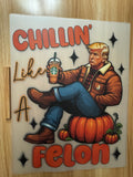 CHILLIN' LIKE A FELON PUMPKIN - B3 - (this is a full color screen print transfer not a DTF.)