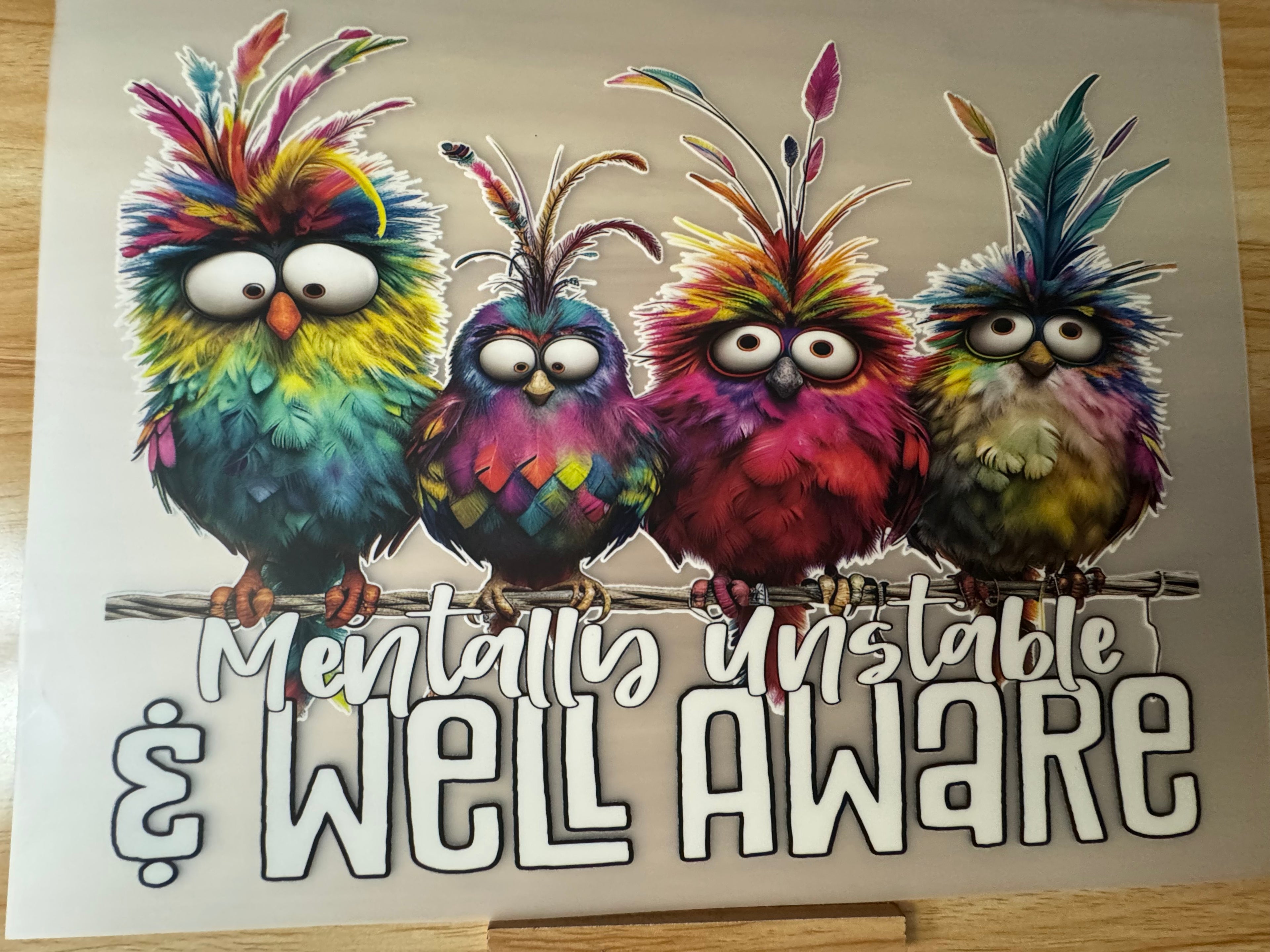 MENTALLY UNSTABLE AND WELL AWARE - B3 - (this is a full color screen print transfer not a DTF.)